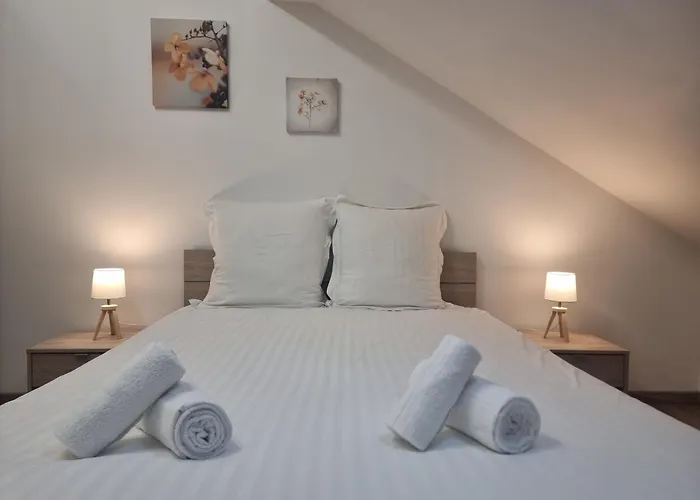 Le Ruisseau A Htes Vosges Confort *